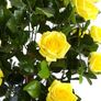 Artificial Flower Image 4