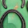 Horse shoes Image 3