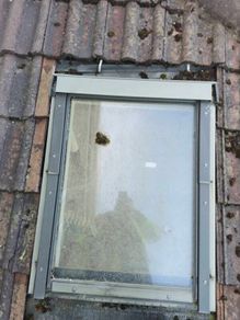 skylight velux window