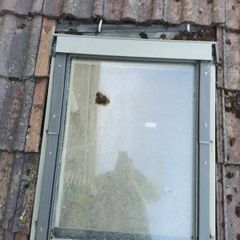 skylight velux window