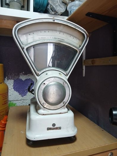scale