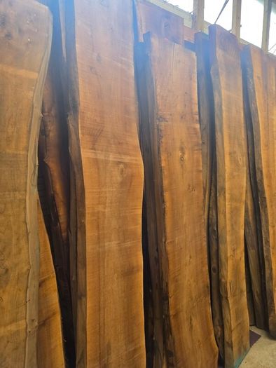 Live Edge Walnut Slabs - Kiln Dried