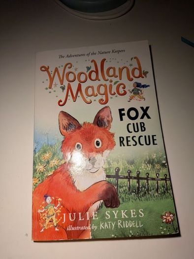 Kids fiction books 6+