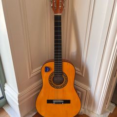 Guitar with Plectrum Holder