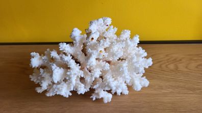 White natural coral approx 700 grams