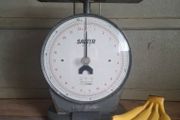 Salter Model 250 Industrial Scales