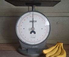 Salter Model 250 Industrial Scales