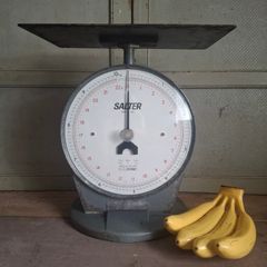 Salter Model 250 Industrial Scales