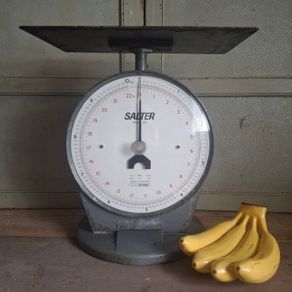 Salter Model 250 Industrial Scales