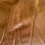 Genuine Leather 2 seater sofa w/ matching pouffe Image 4