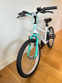 20" bike