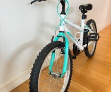 20" bike