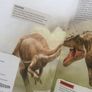 Dinosaur Fact Book Image 4
