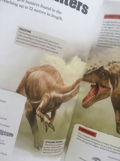 Dinosaur Fact Book