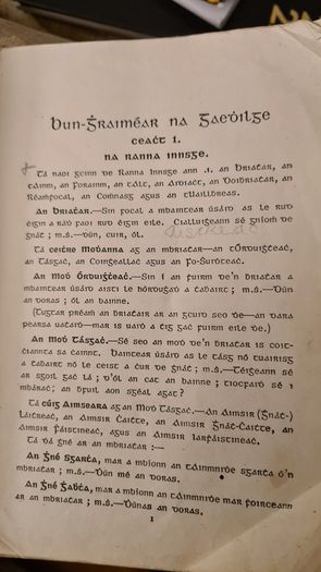 Irish Grammer Book. 1930. Anyone Interest. Make An Offer.