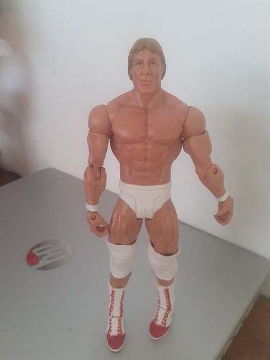 8 WWE wrestlers and Belt included