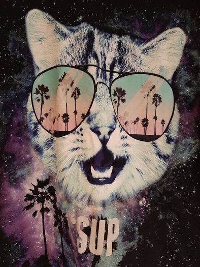 New Tee Shirt XL