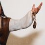 Pirates of the Caribbean Image 2
