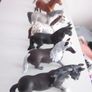 Schleich Horse Figures  X8 Image 2