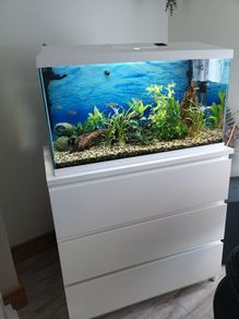 aquariums