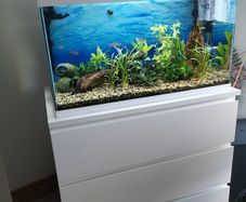 aquariums