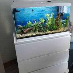 aquariums