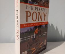 The Perfect Pony by Susan McBane