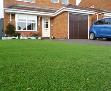 Free Delivery 40mm Artificial Grass