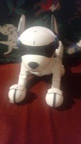 robot dog Ziggy