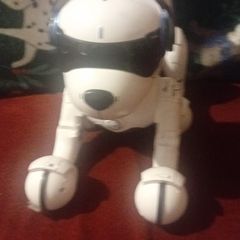 robot dog Ziggy