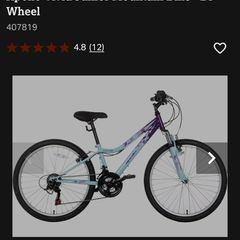 Girls bicycle