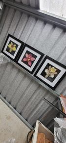 3 framed pictures