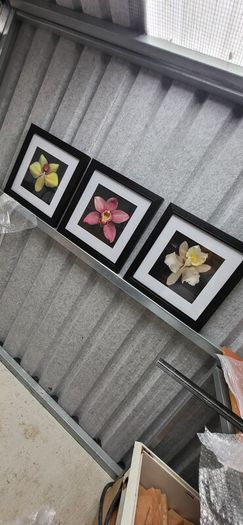 3 framed pictures
