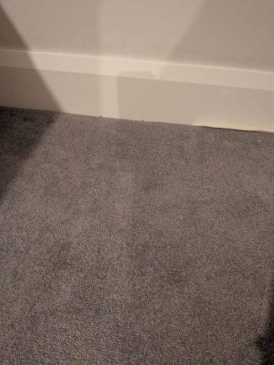 Carpet