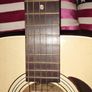 USA Harmony Acoustic Image 8