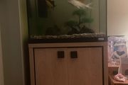 fish tank