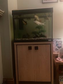 fish tank