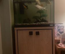 fish tank