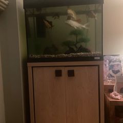 fish tank