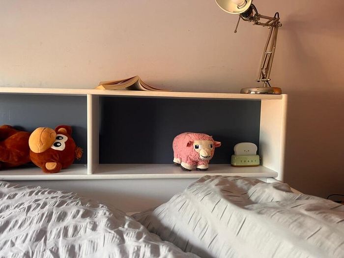 White Bunk Bed