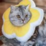 Flower-shaped soft Elizabethan collar Image 2