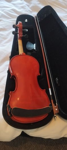 Viola