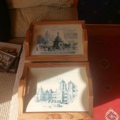 Kitchen trays / photo