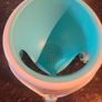Angel care baby bath seat Image 2