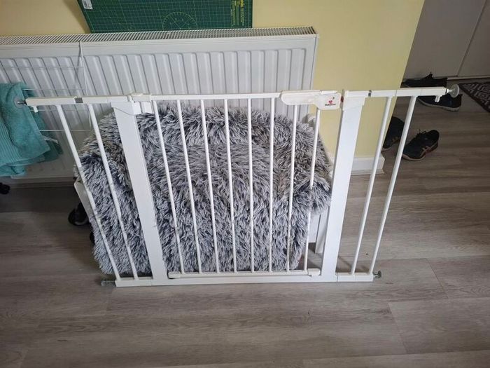 Safety Gate