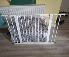 Safety Gate