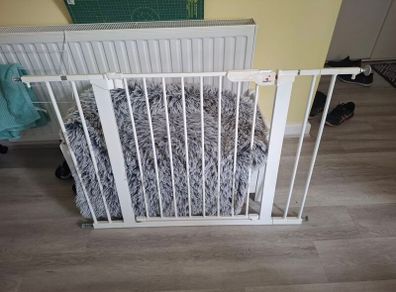 Safety Gate
