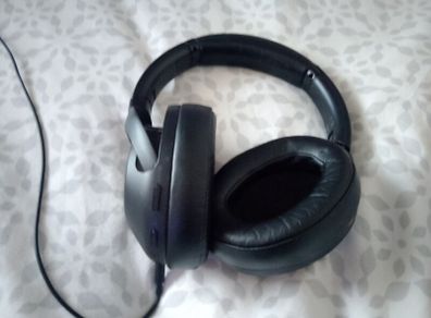 Sony Whxb900n