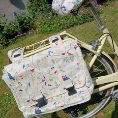 Dawes Duchess Ladies Bicycle