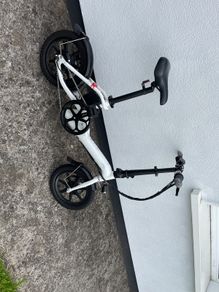 Fiido D3 Pro electric bike.